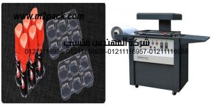 vacuum formed packing trays