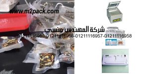 vacuum heat sealer food
