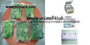 food vacuum packing machine