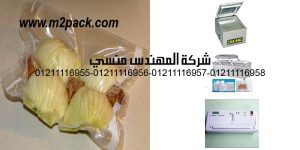 vacuum seal with frozen stock freezin